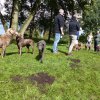 fotos von familie schtz treffen 2017 8